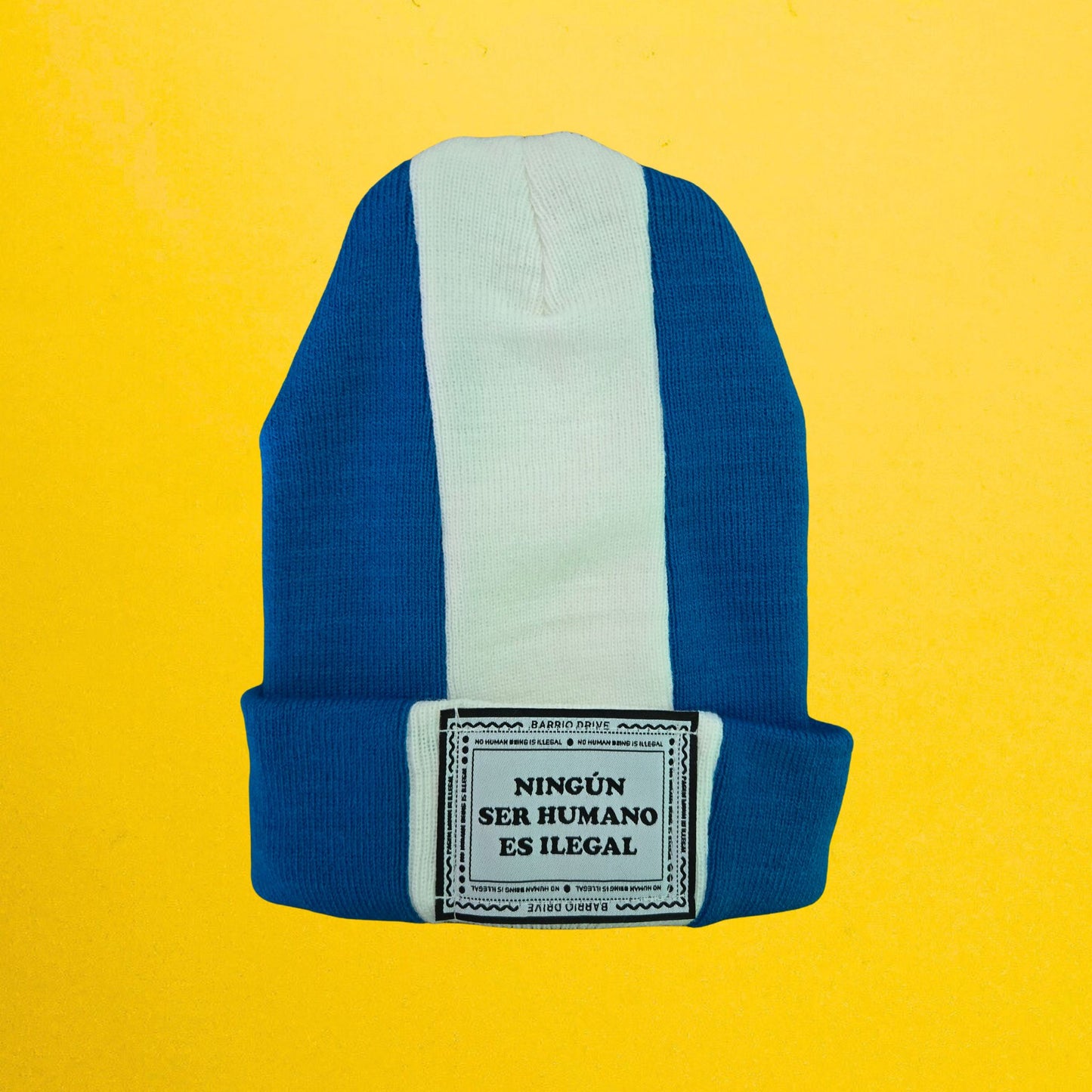 Raices Flag Series Beanie