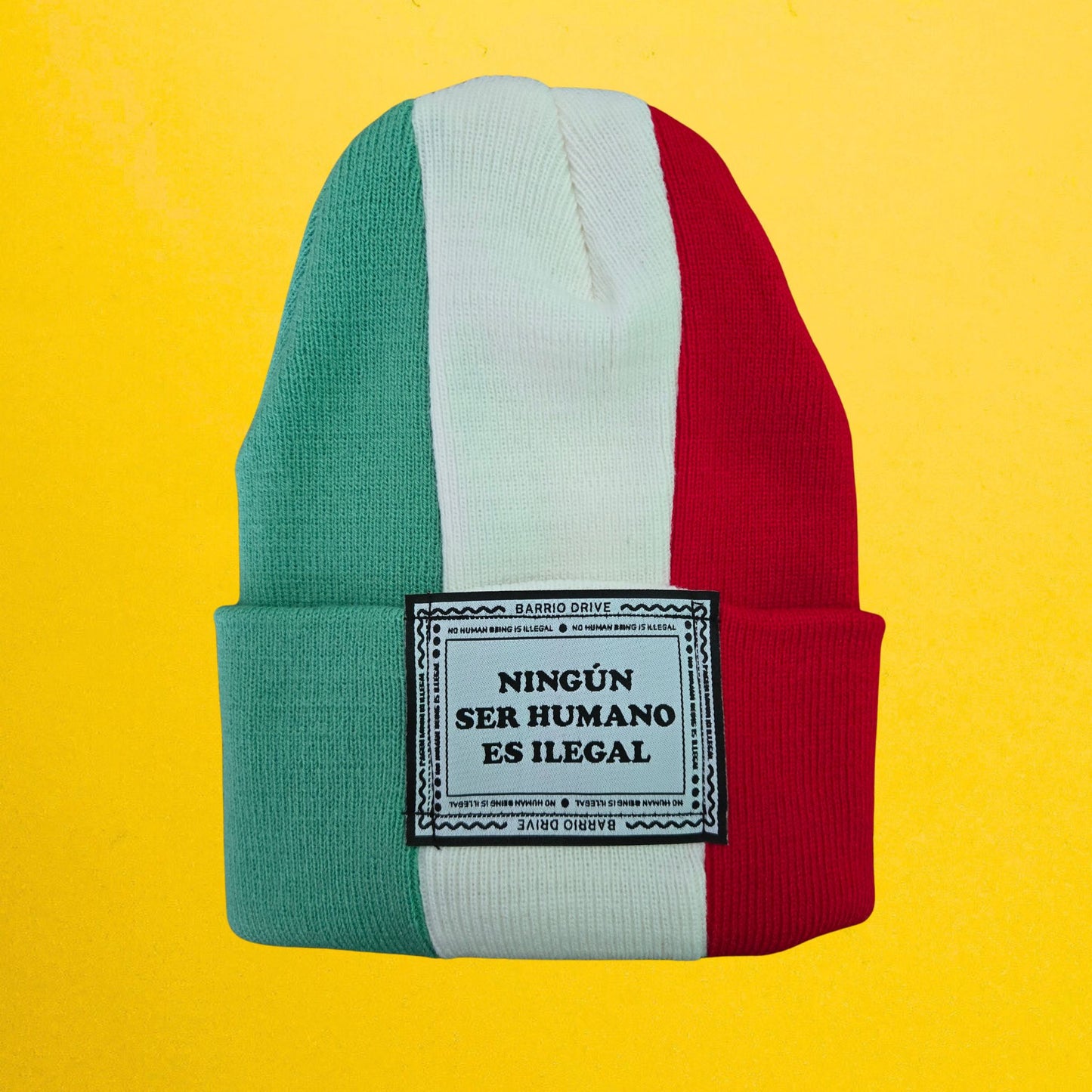 Orgullo Flag Series Beanie