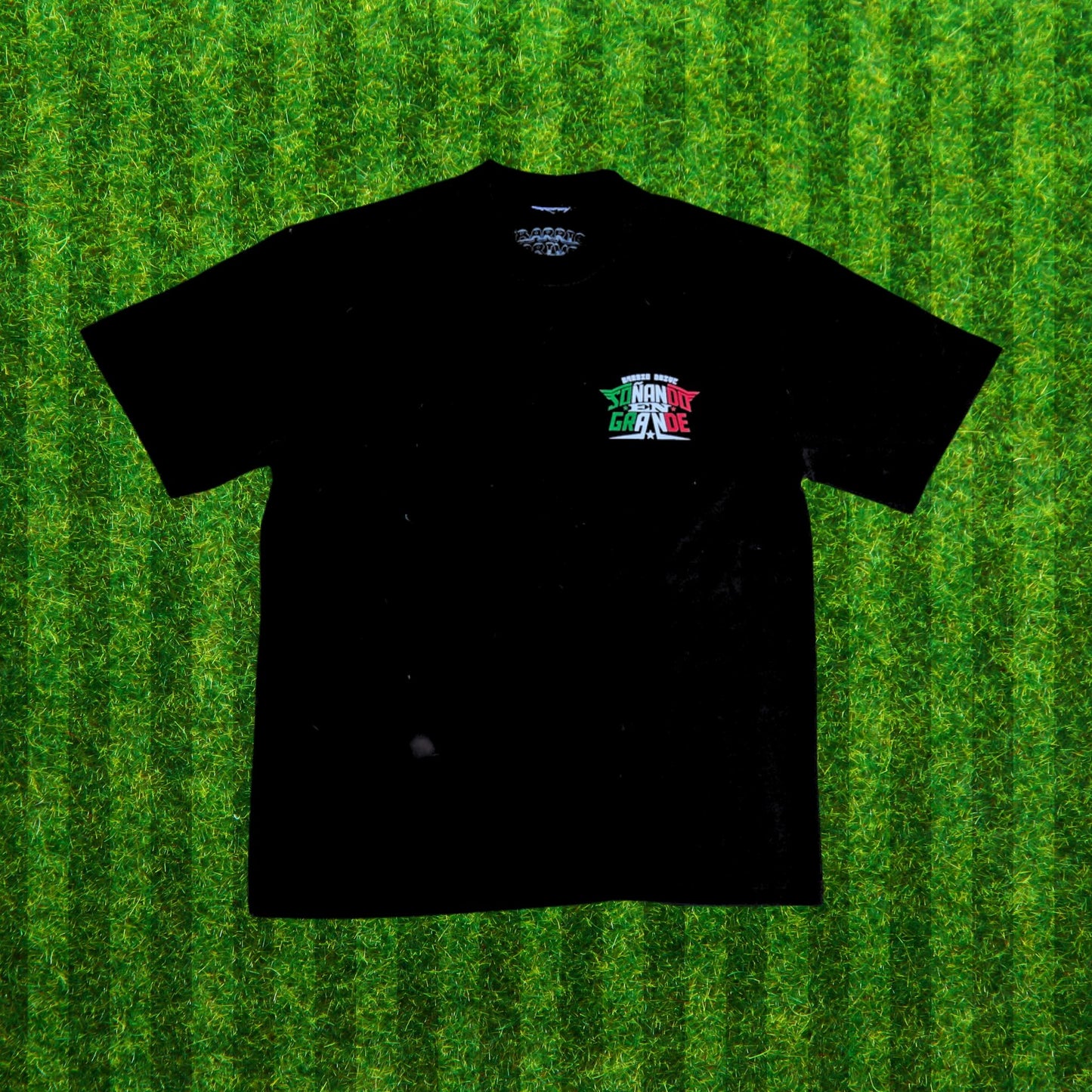 Soñando En Grande (MX)