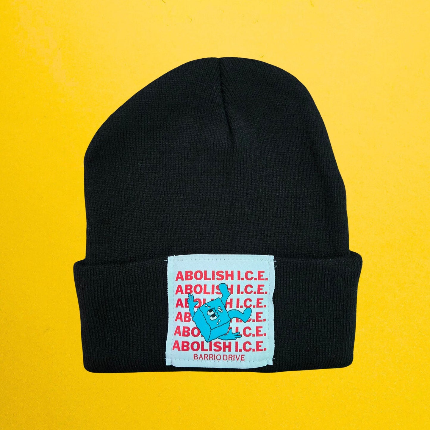 Abolish I.C.E. Beanie
