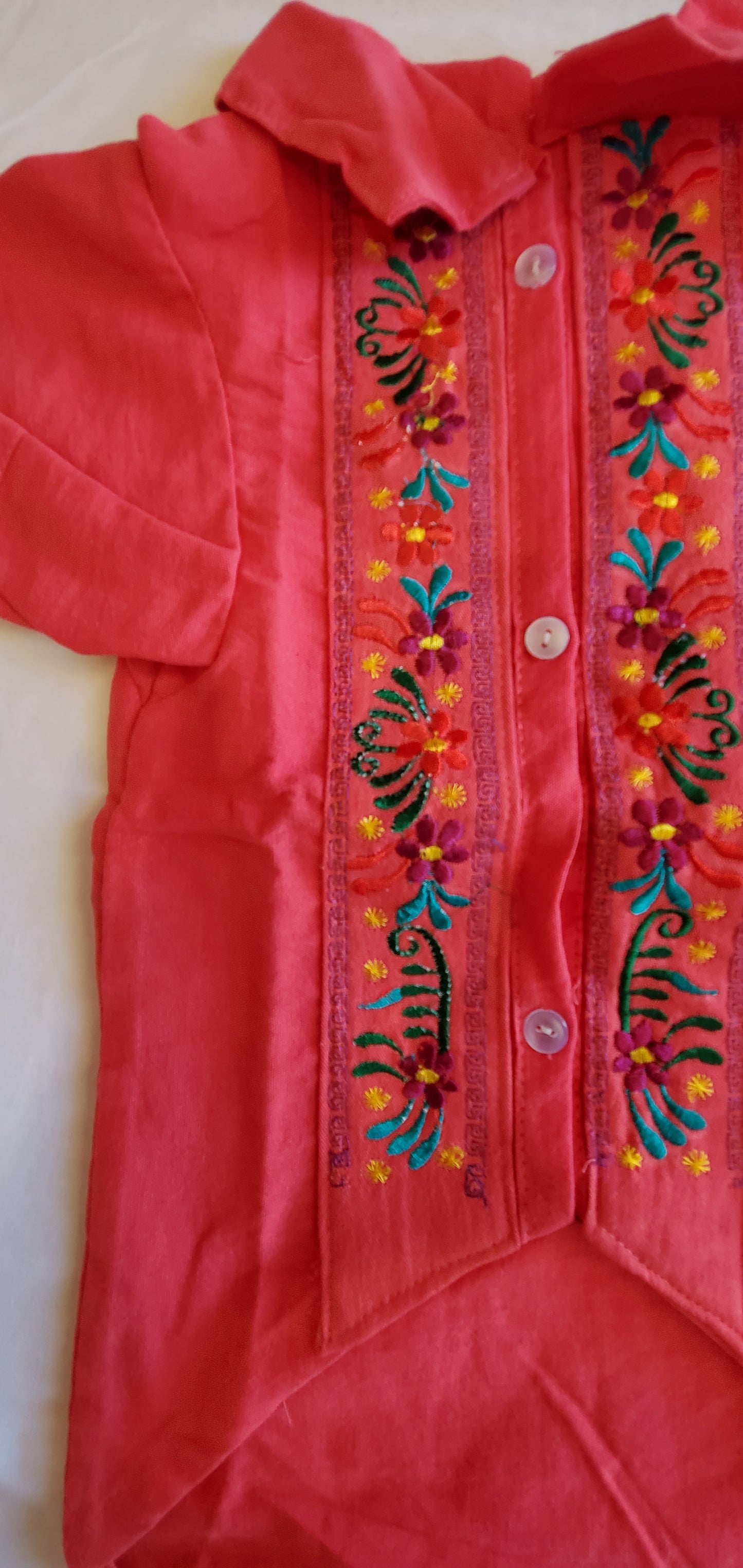 Pet dog Guayabera