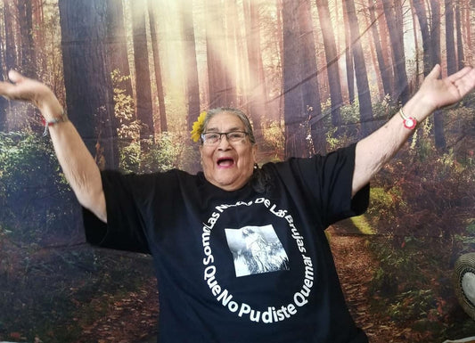 Somos las nietas de las brujas que no pudiste quemar T-shirt
