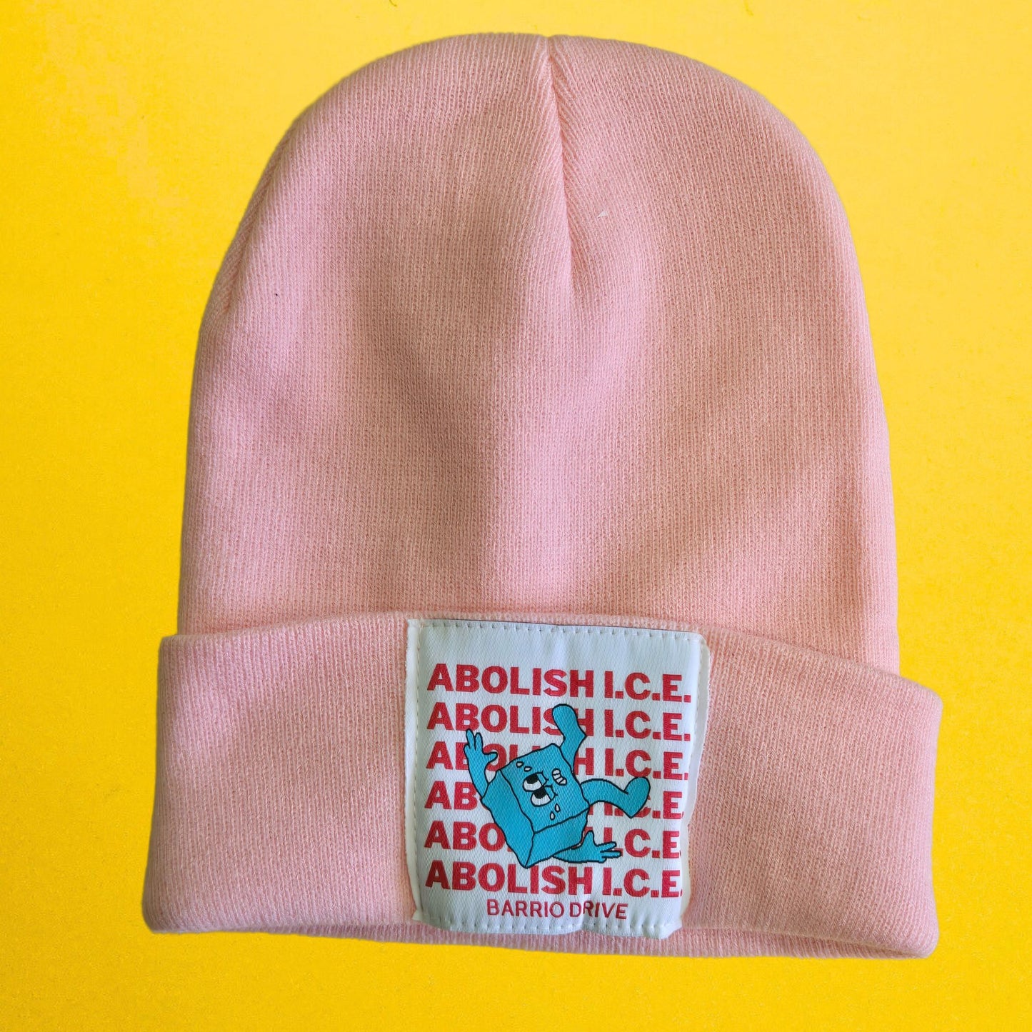 Abolish I.C.E. Beanie