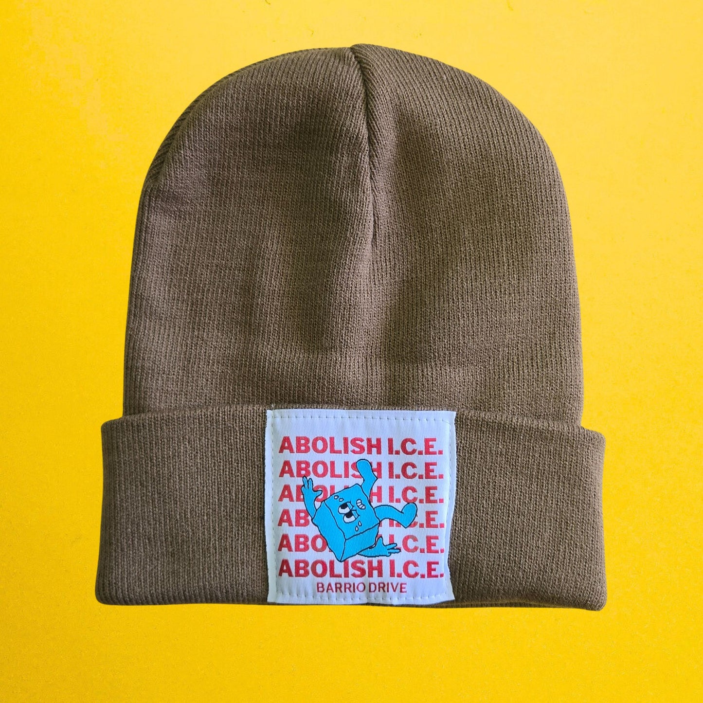 Abolish I.C.E. Beanie