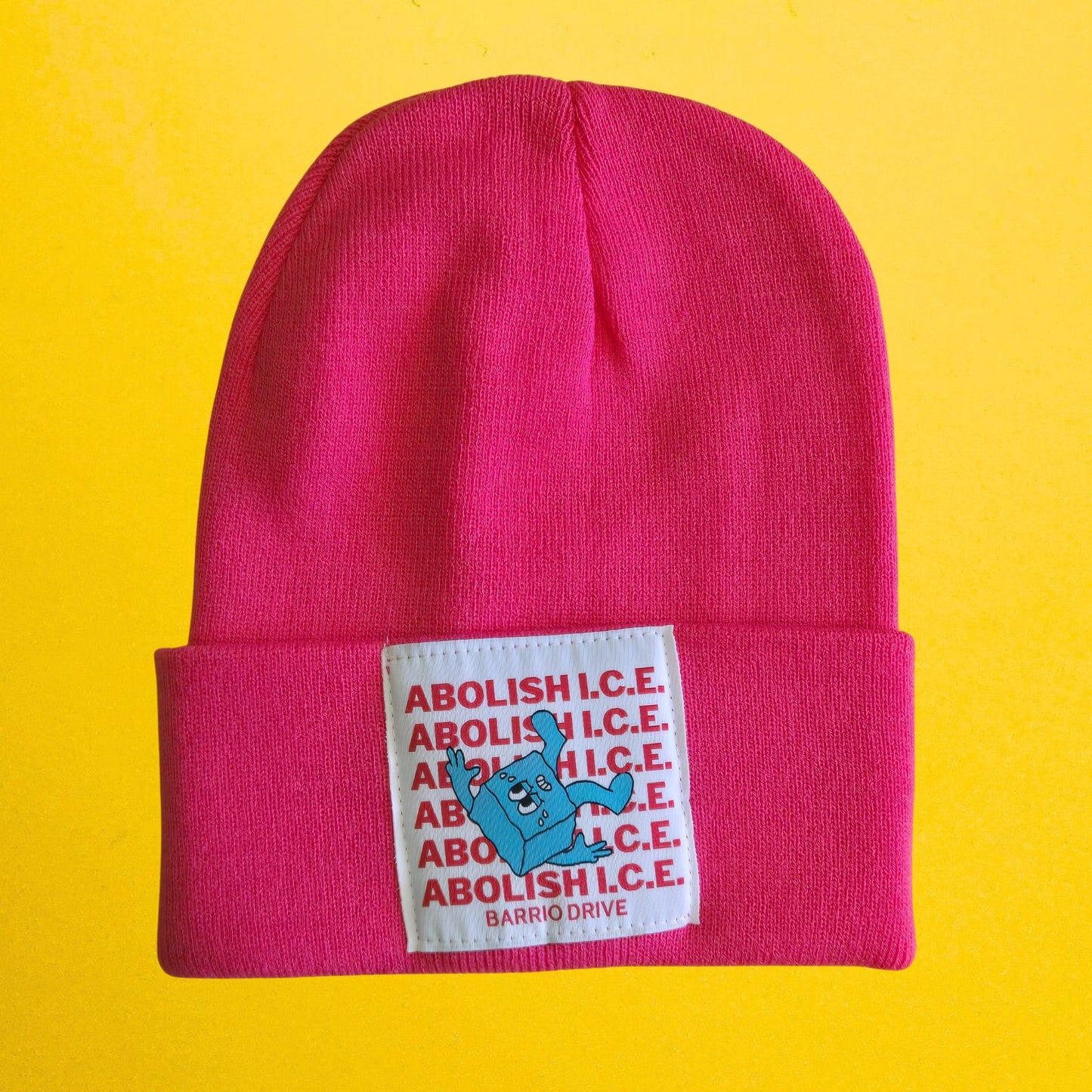 Abolish I.C.E. Beanie