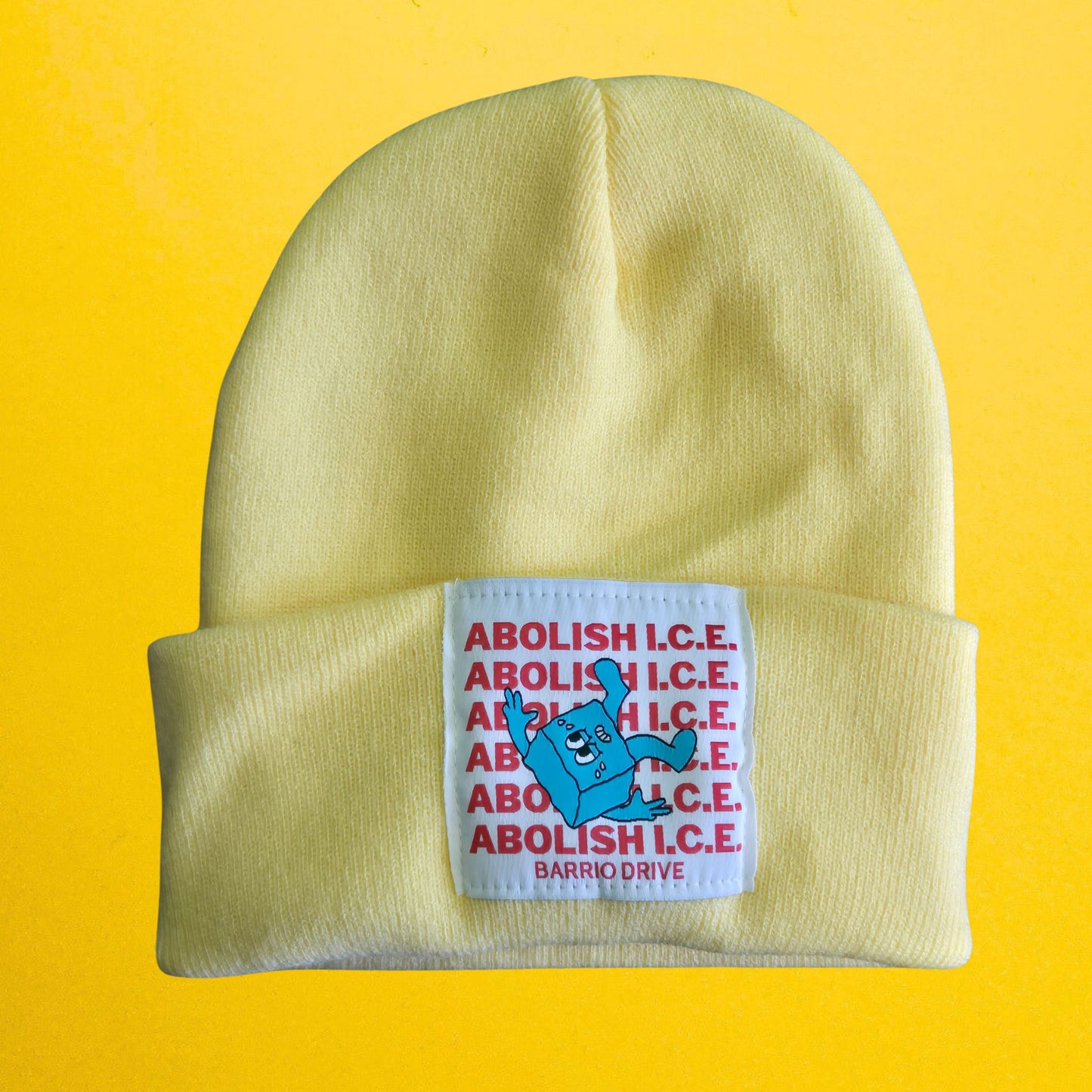 Abolish I.C.E. Beanie