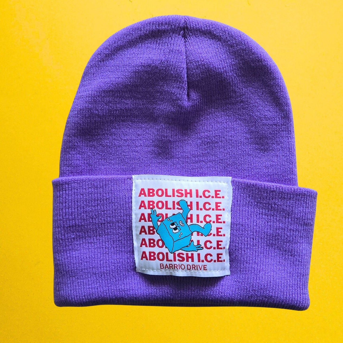 Abolish I.C.E. Beanie