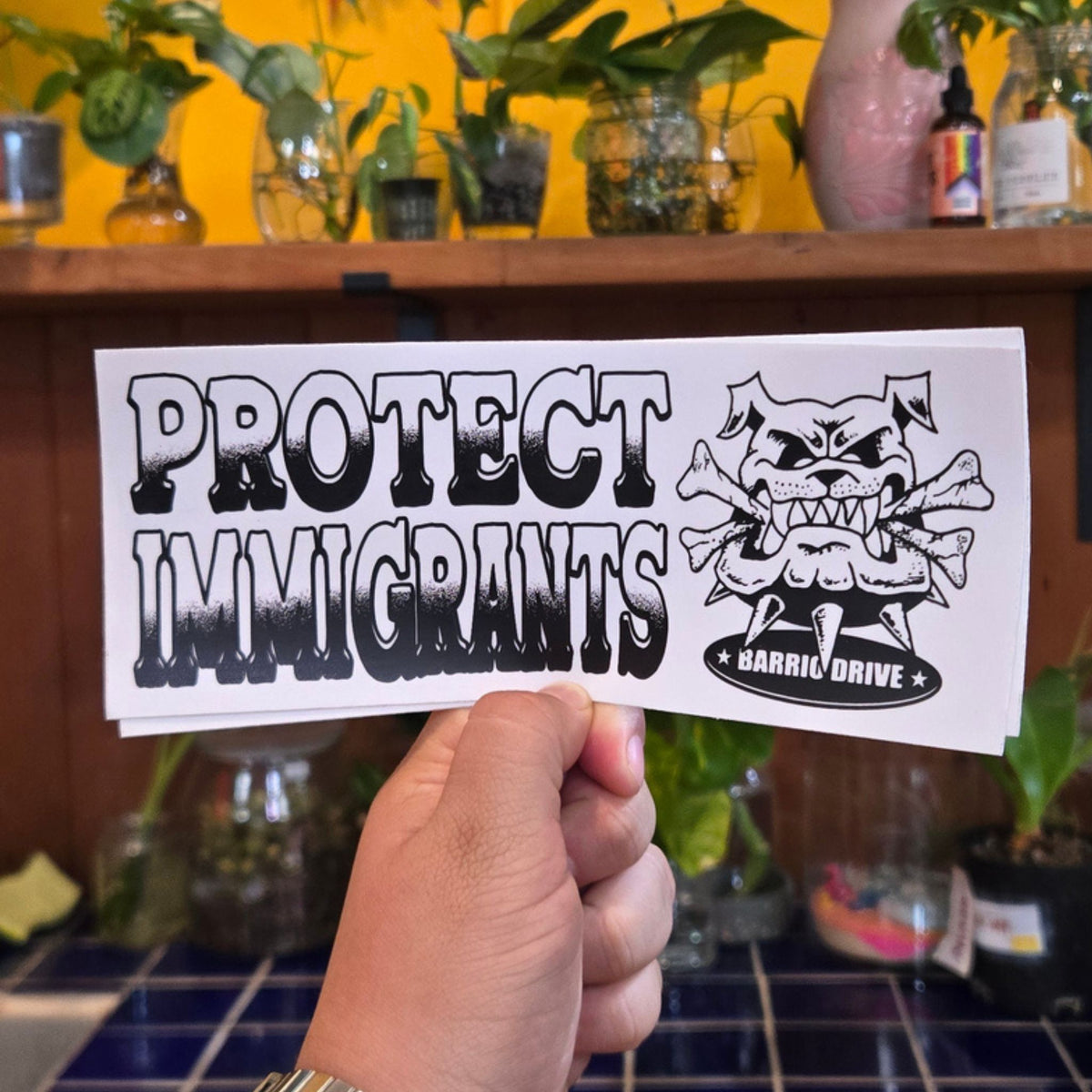 Protect Immigrants Bumper Sticker