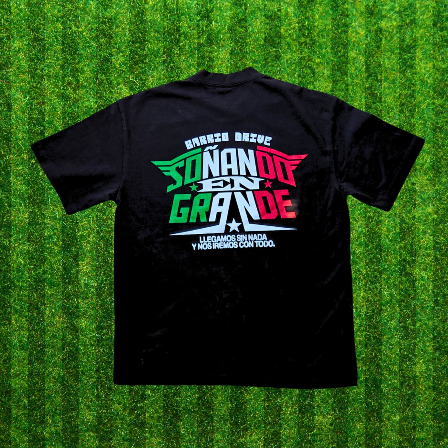 Soñando En Grande (MX)