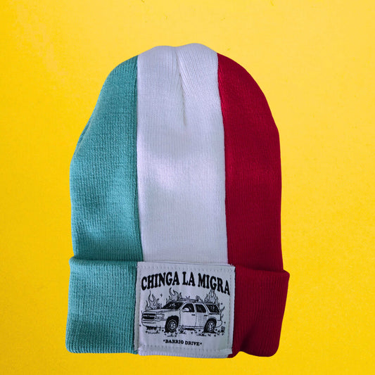 Orgullo Flag Series Beanie